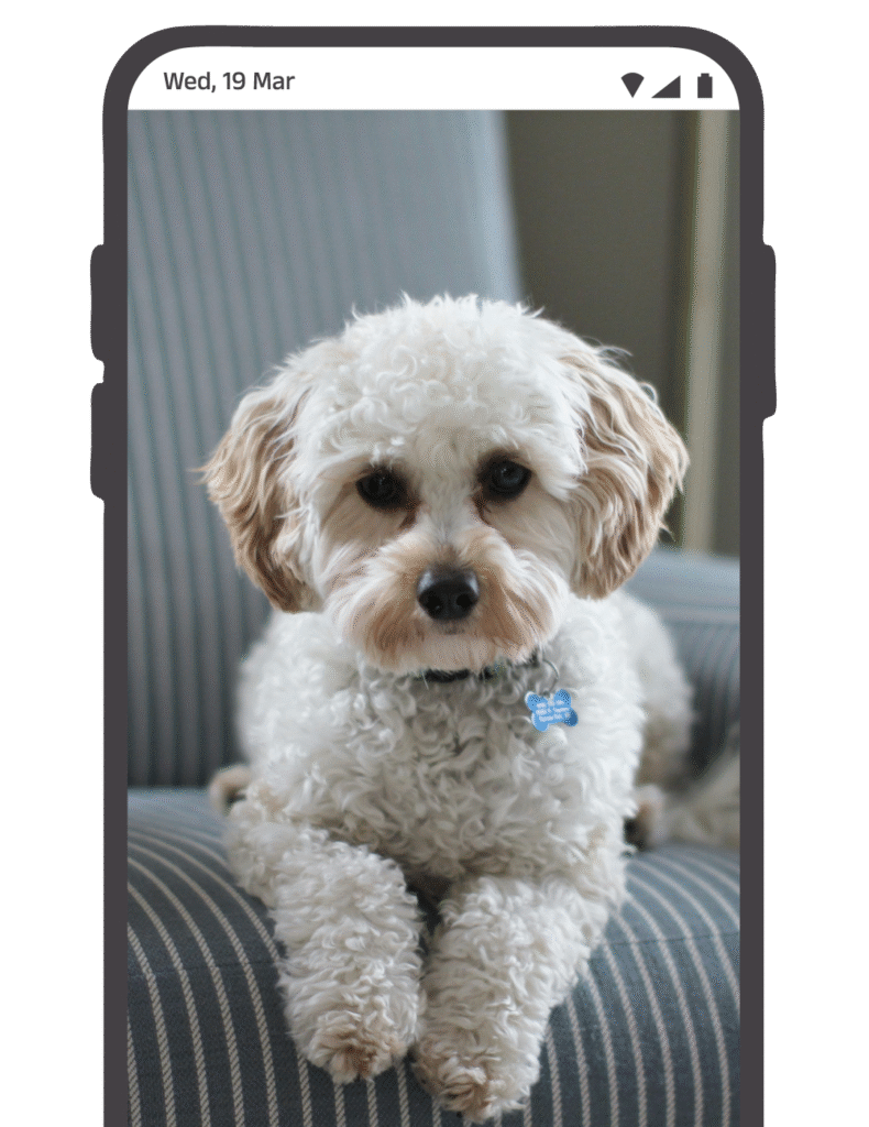 പ്രാദേശിക പരസ്യങ്ങൾ